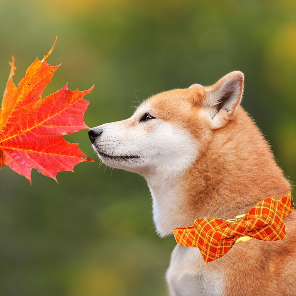 Dog Collar - Fall Plaid Holiday Pet Collar with Adjustable Bow for Medium Dogs