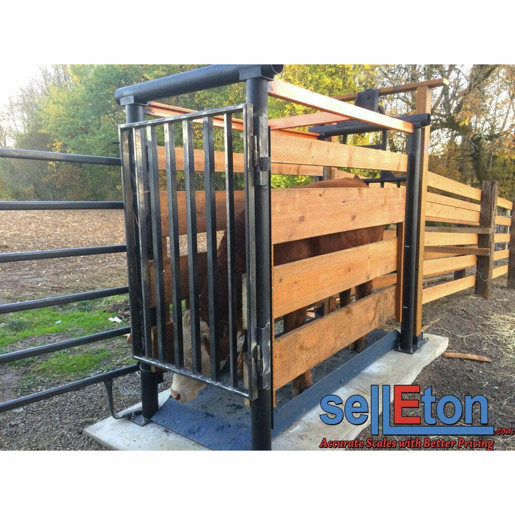SellEton SL-929 Livestock & Cattle Alleyway Scale 5000 lbs x 1 lb