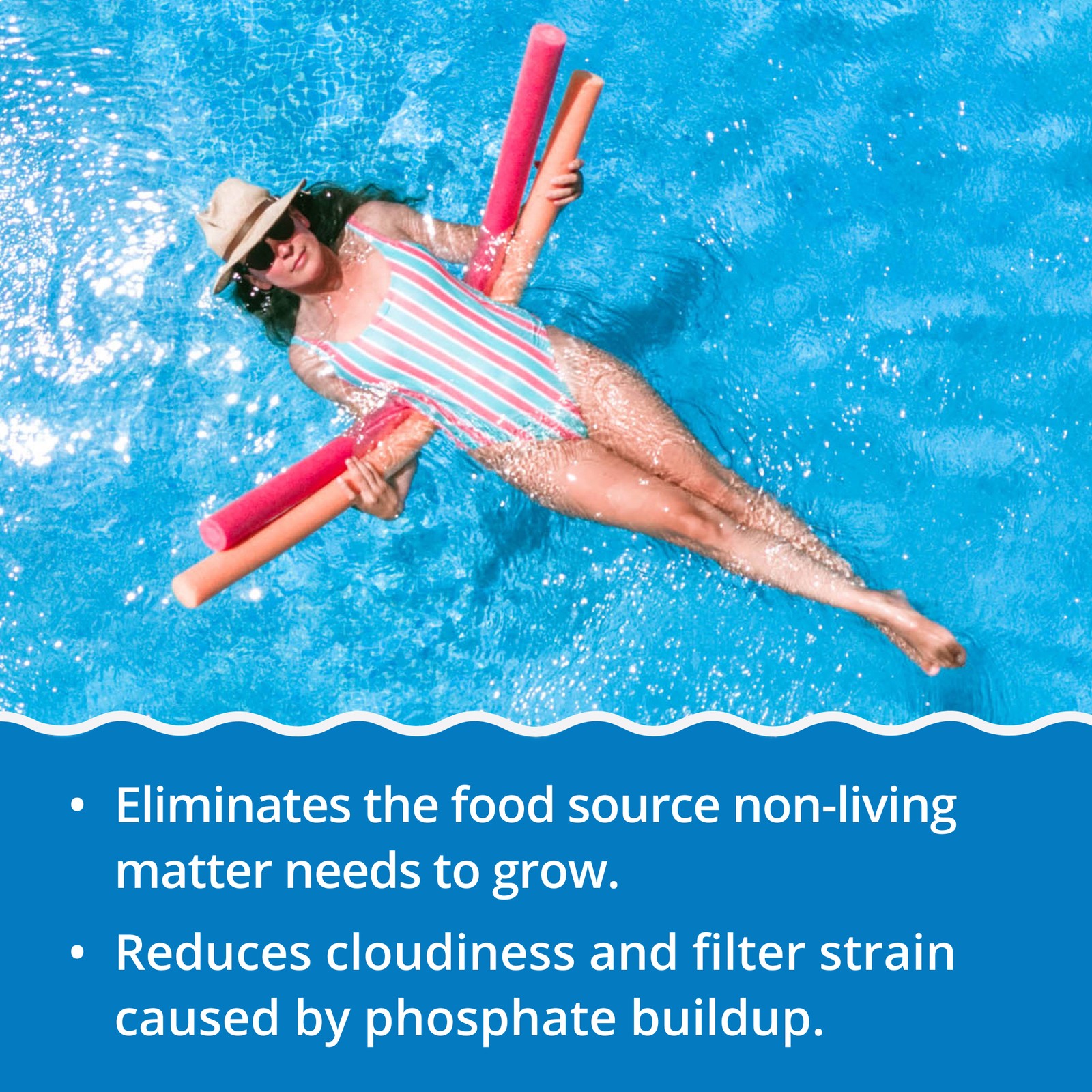 In The Swim - Pure Clear & No Phos - Reduces Phosphates & Removes Non-Living