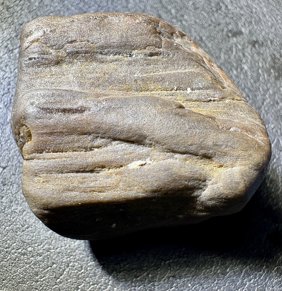 1 oz Petrified Wood