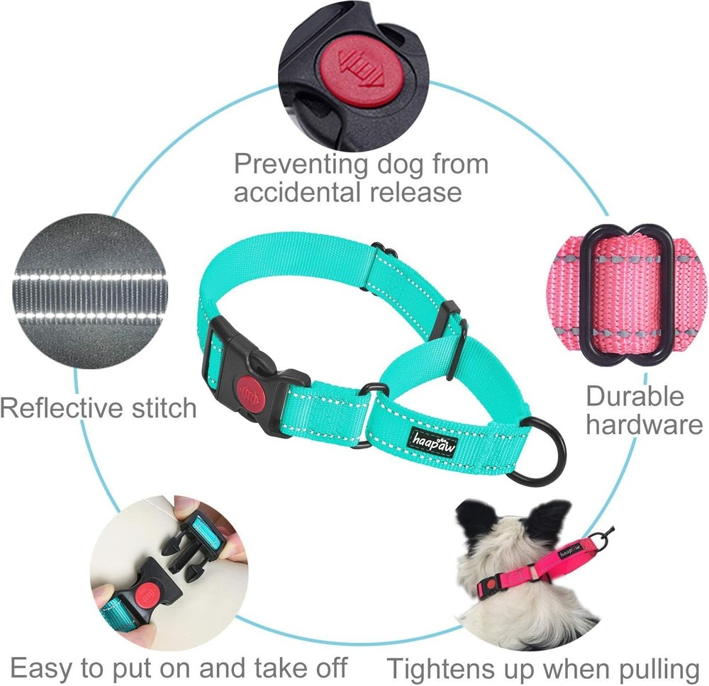 Luxury Martingale Collar Set with Quick-Release & Reflective Features - 2 Pack