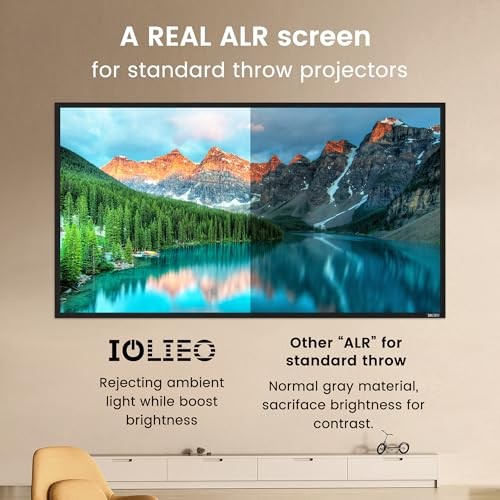 ALR Projector Screen for Standard Throw- Wall Mounted - TGL-100-A High