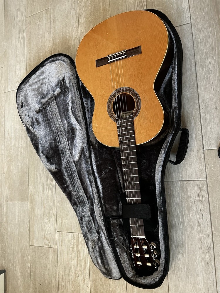 Altamira N100 Guitar