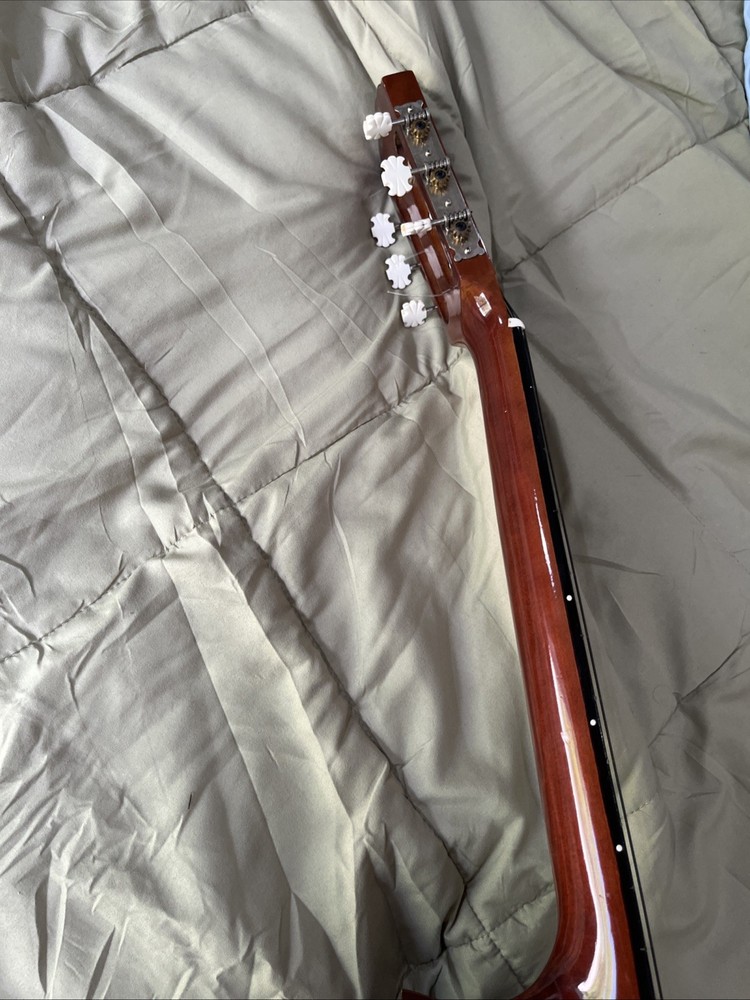 ariana guitar 570