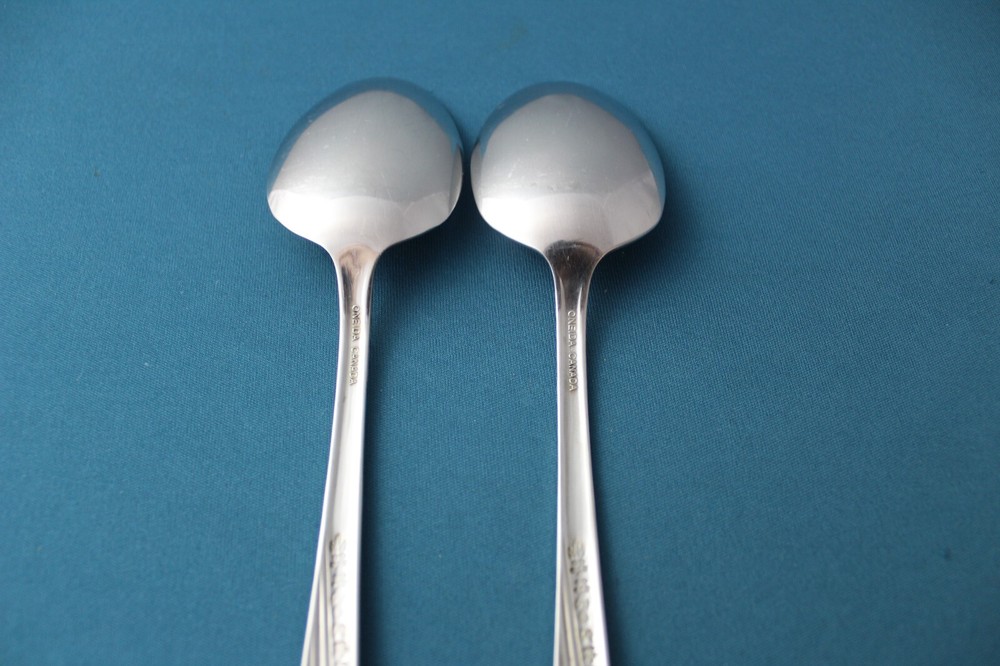 Oneida SPRING GLEN Serving Tablespoon (2pc Set) Stainless Canada 8"