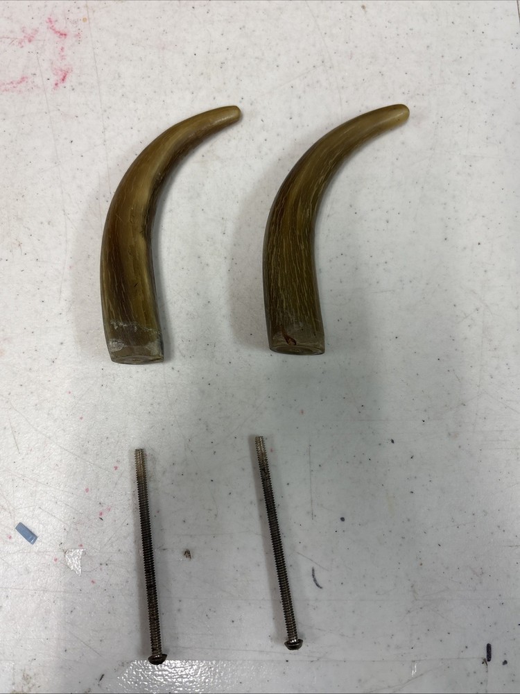 Animal Horn Cap Wall Hooks