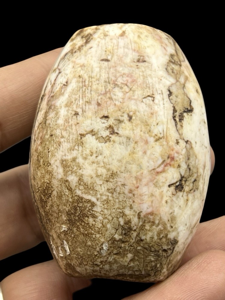 Authentic Ancient Indus Valley Stone Shell Bead 1000 BC Baluchistan