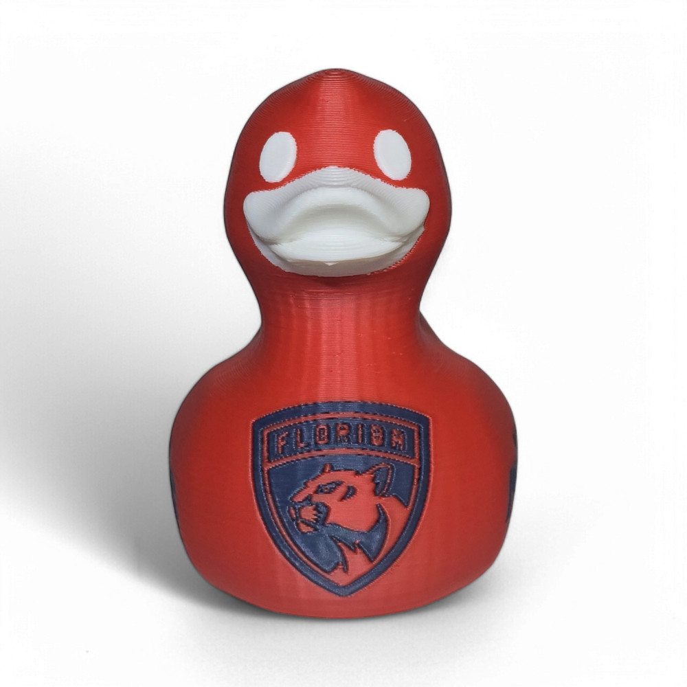 Florida Panthers Duck