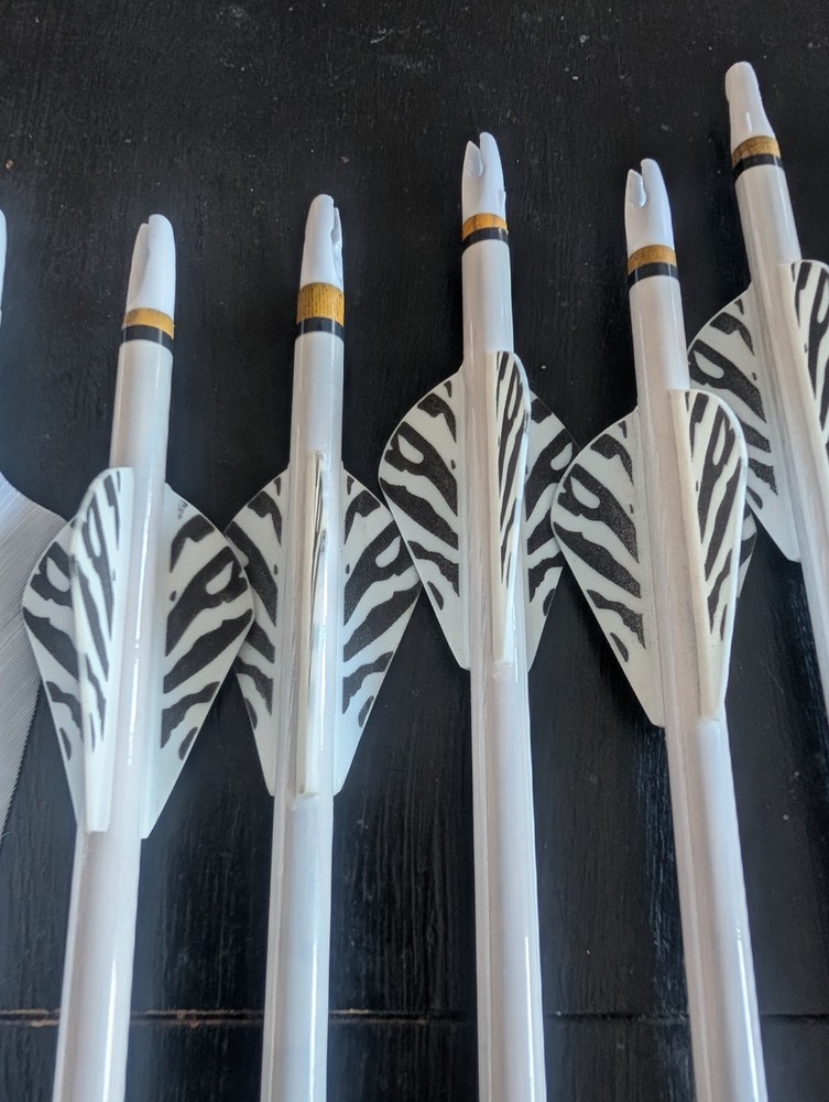 10 Black Eagle arrows