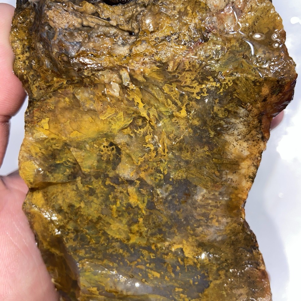 Gorgeous Icy Moss Agate Rough 1 Pound 12.25 Oz