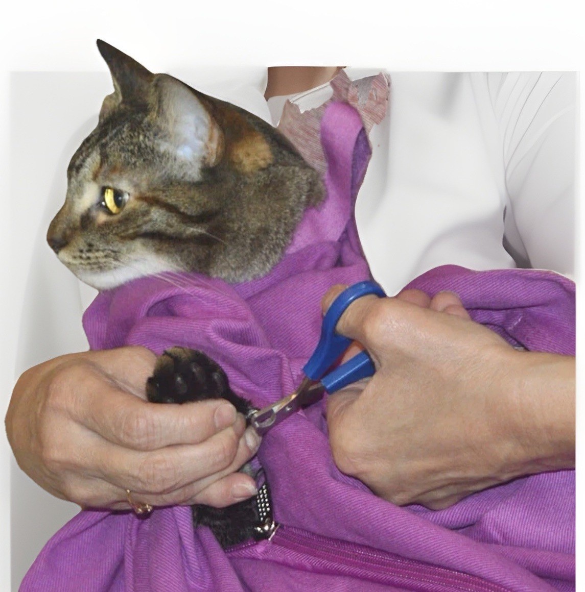 Cat-In-The-Bag Cozy Comfort Sack Bag Carrier Blue L-XL NWOT