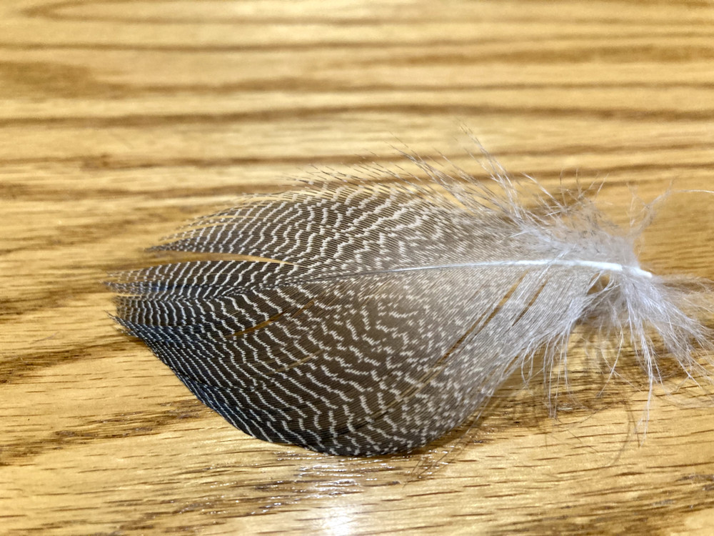 100 Gadwall Flank Feathers - Fly Tying