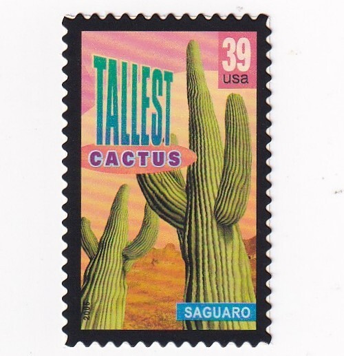 STAMP US SCOTT 4035 "Wonders-Saguaro, Tallest Cactus" 39 CENT 2006 MNH