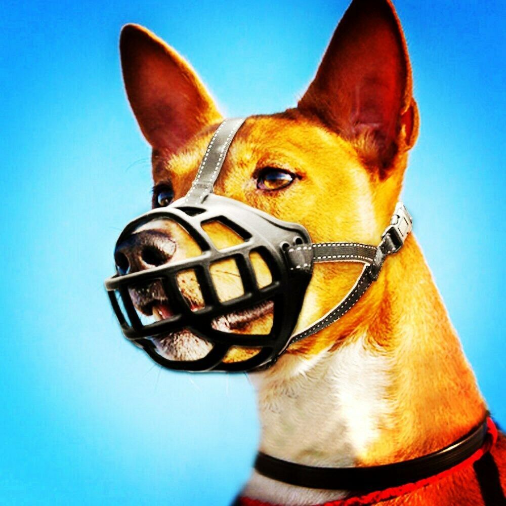 Adjustable Dog Muzzle Soft Silicone Breathable Strong Basket Dogs Mouth Muzzles