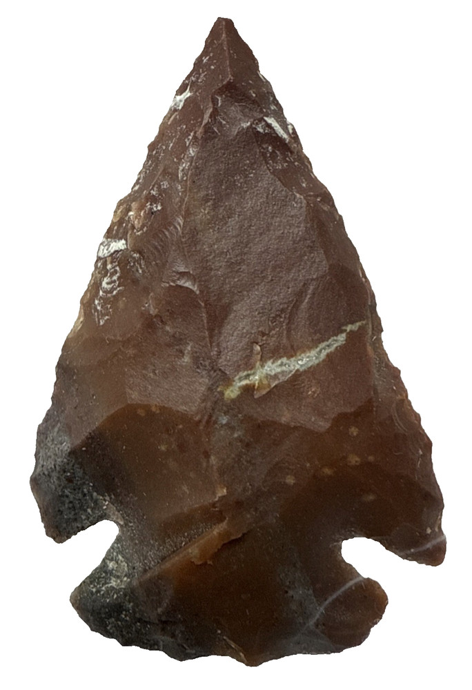 Chert Flint Serrated Edge Brown Gray Arrowhead