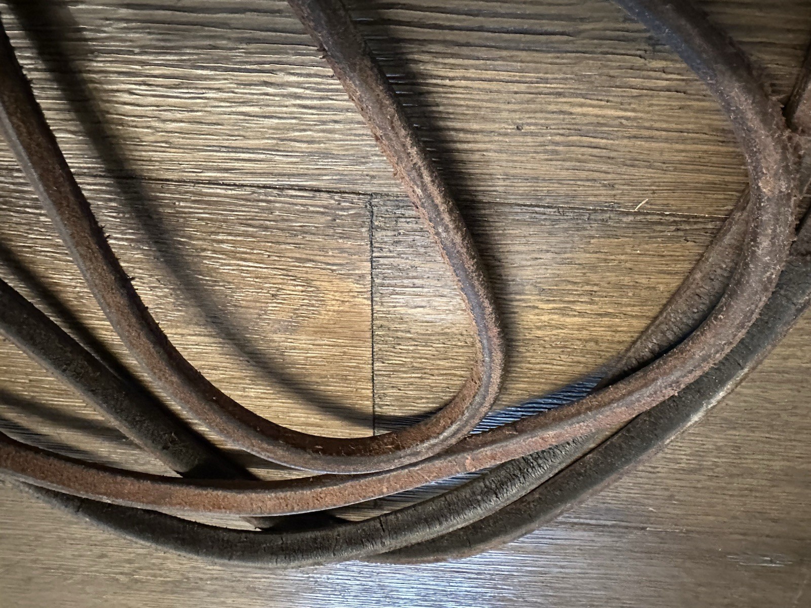 Horse Tack - Leather Draw Reins