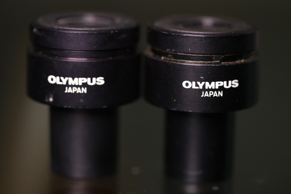 Olympus WK 10X/20L Microscope Eyepiece Pair