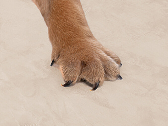 Memory Foam Baby Play Mat Thick Large Gym Crawling Mat Non Slip Breathable