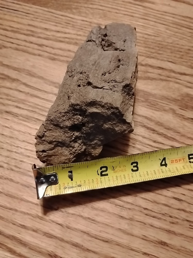 Petrified Wood 738g (Outer Bark)