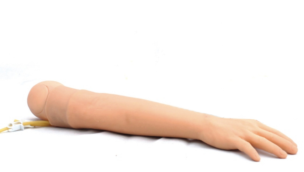 Display KAS/S2 Arm Venipuncture & IntramuscularInjection Training Model