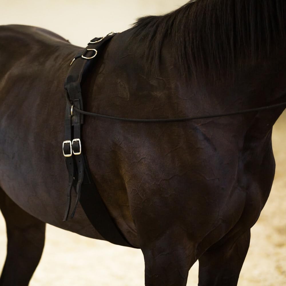 HORZE Lunging Surcingle for Horses | Nylon Roller for Training