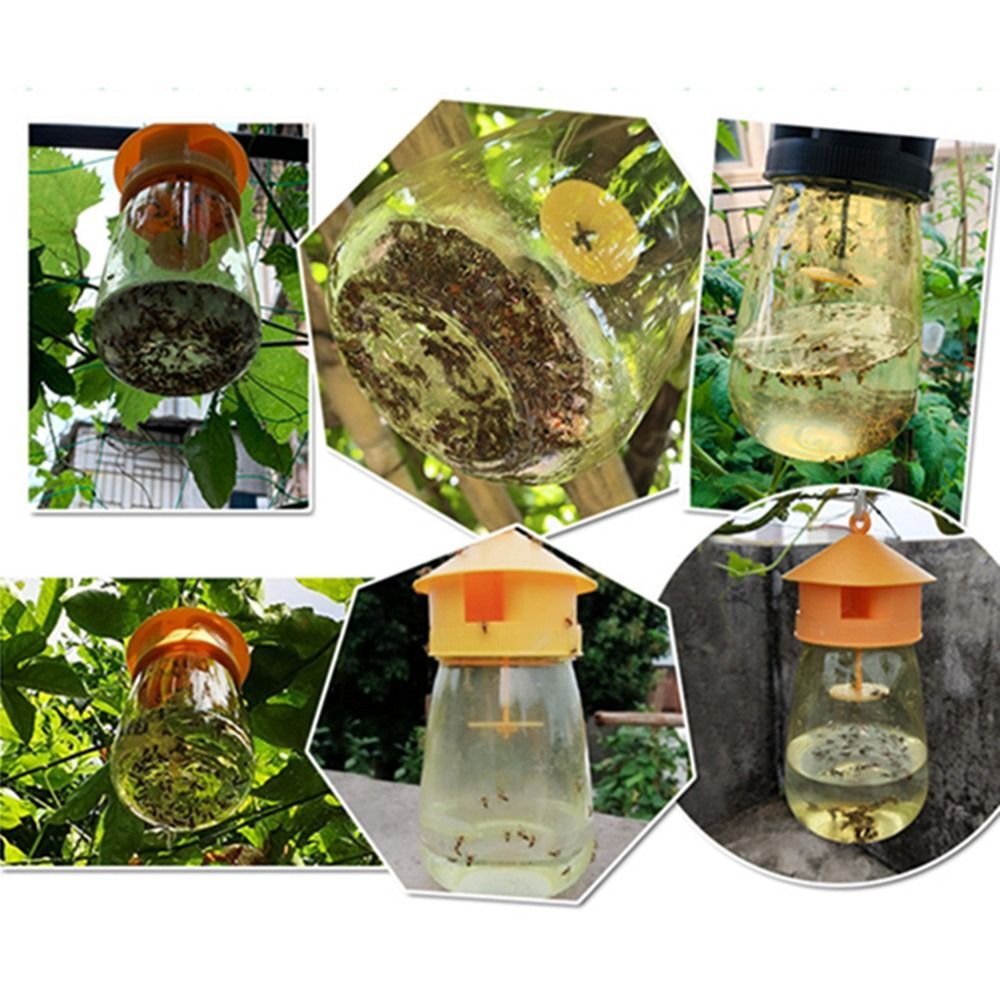 Fruit Fly Trap Killer Reusable Plastic Drosophila Trap Fruit Fly Trap Catcher