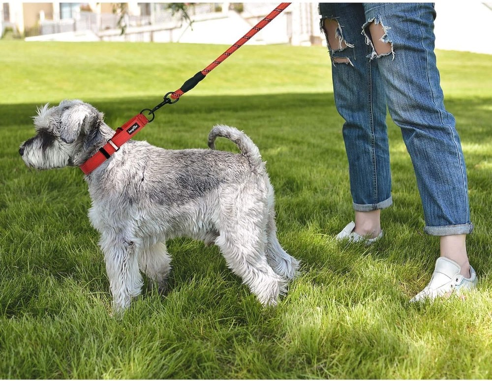 Luxury Martingale Collar Set with Quick-Release & Reflective Features - 2 Pack