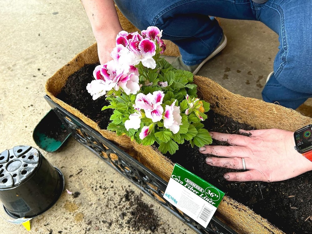 Pre-Formed Coco Liner with Soil Moist – 30-Inch Replacement Liner for Window ...
