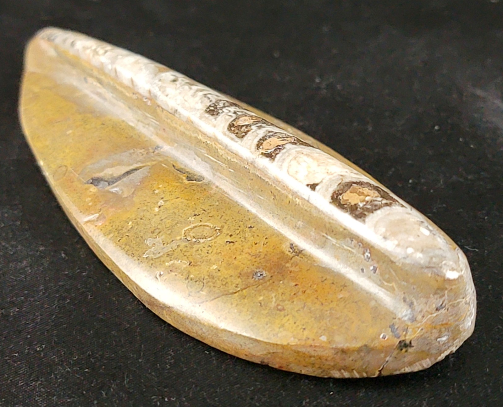 Vintage Ancient Orthoceras Squid Shell Fossil Morocco Approx 3.5" & 4.5" Lot of