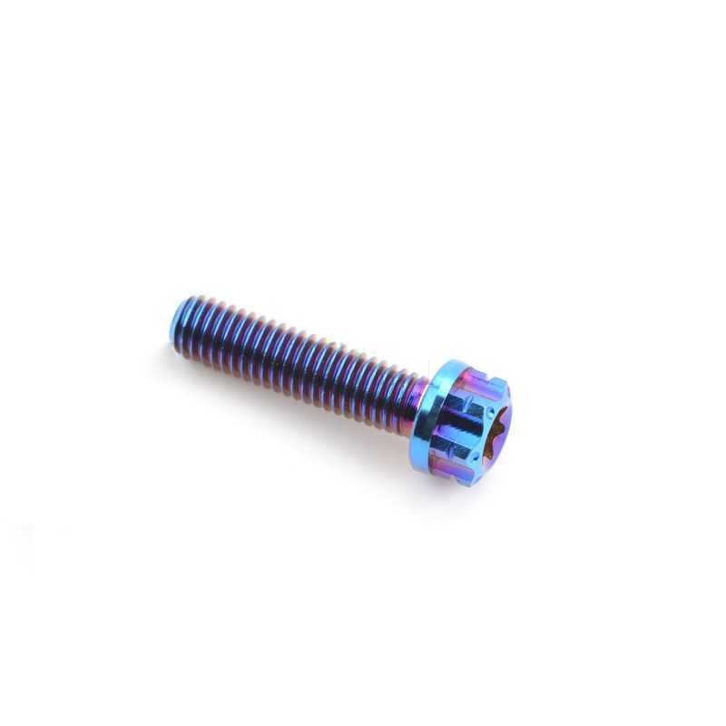 Titanium Bolt Flange Torx Screw