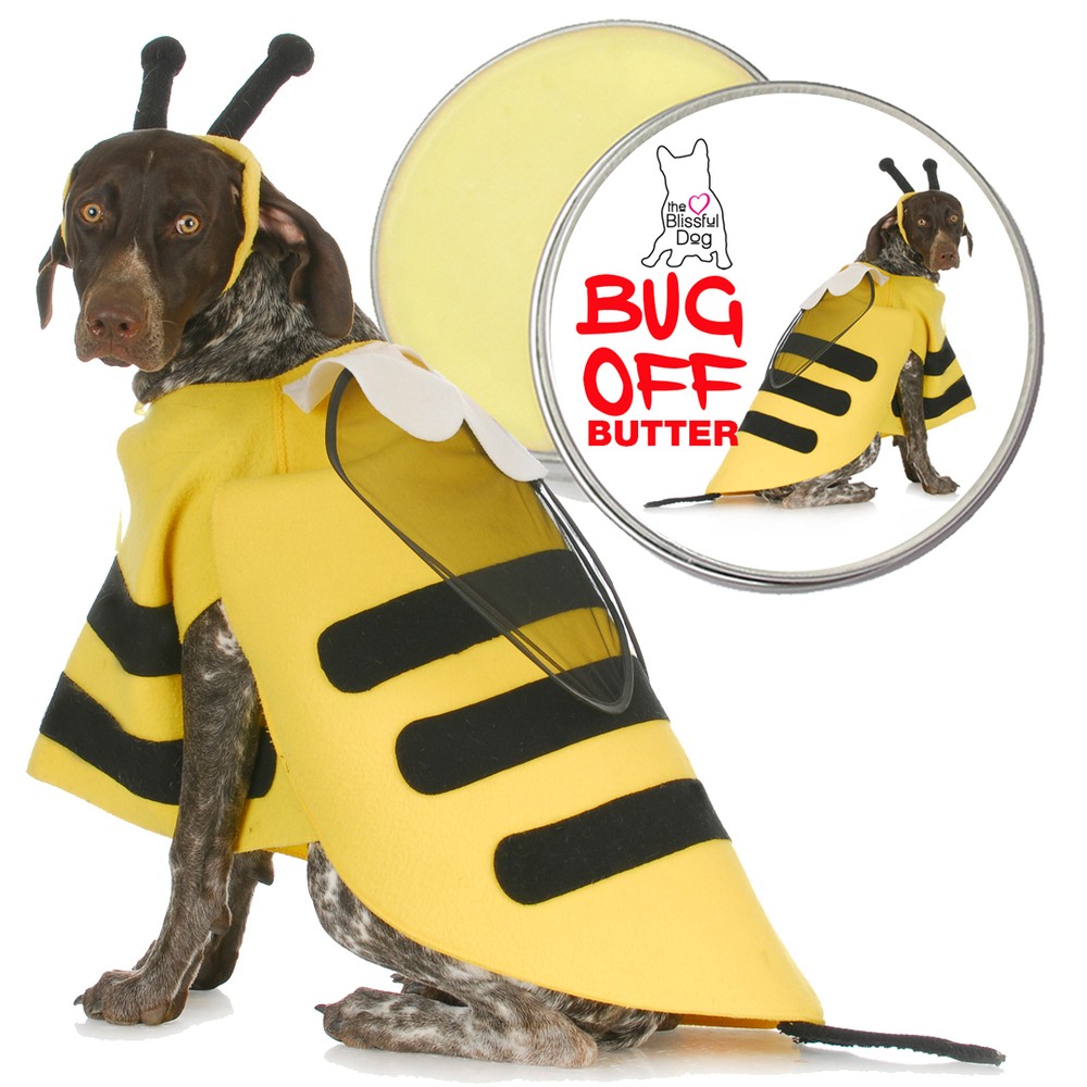 GERMAN SHORTHAIRED POINTER BUG OFF BUTTER ALL NATURAL, HANDCRAFTED BUG BALM