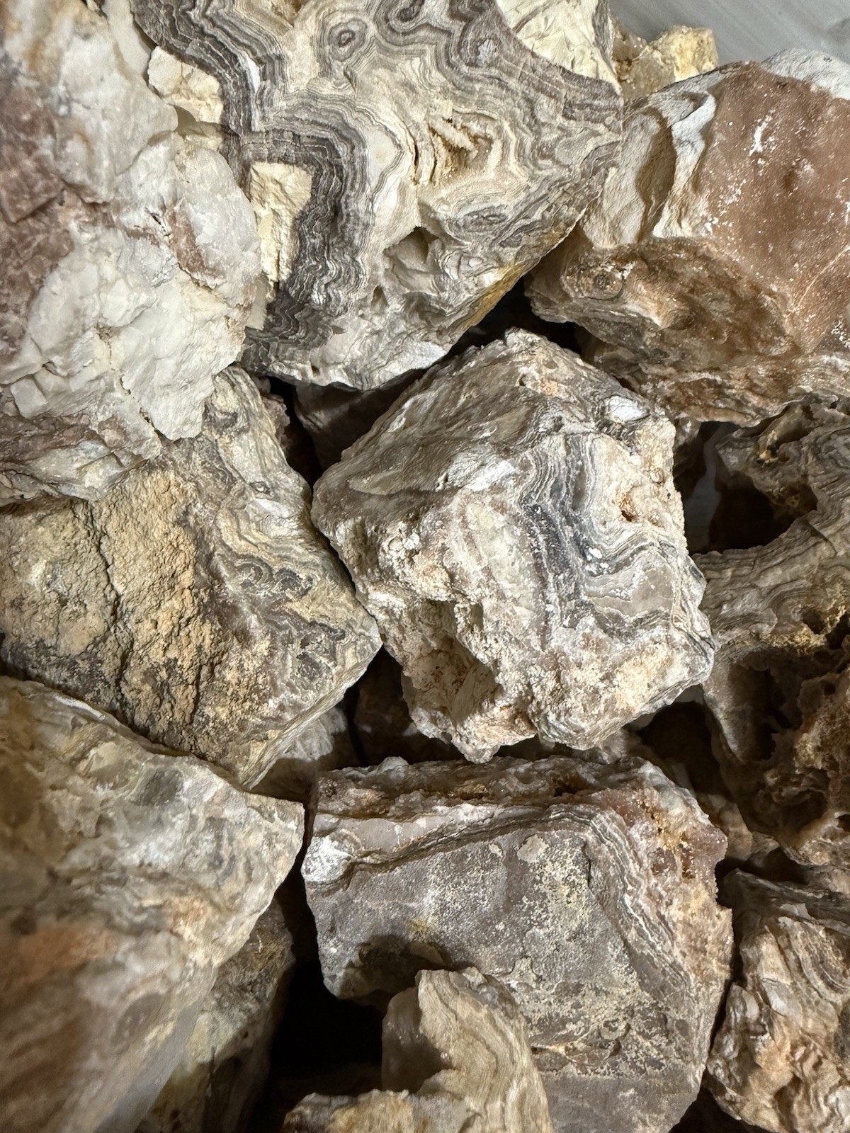 Crazy Lace Agate Rough, Lace Agate 5 lbs lot, Raw Summerville Lace Agates