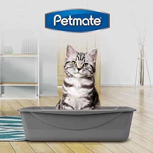 Petmate Basic Open Top Entry Cat Litter Pan Plastic Rimmed Box, Large, Gray
