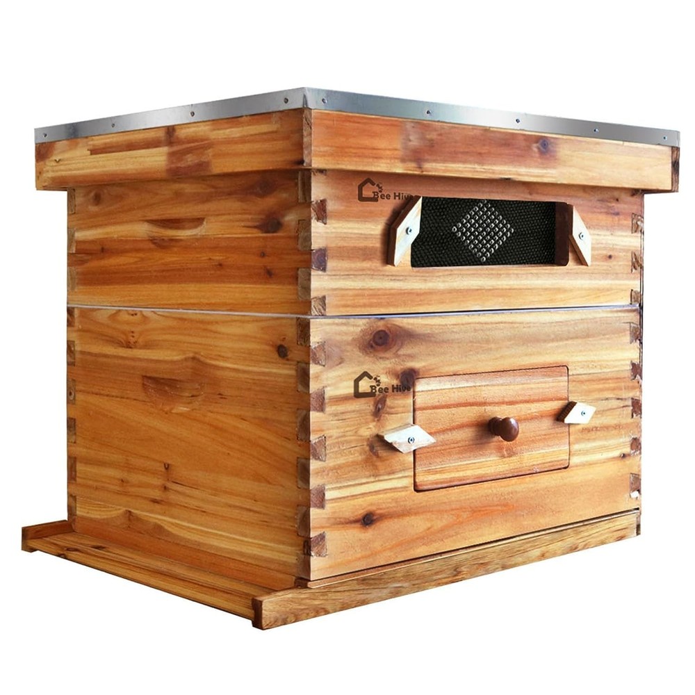 2 Layer Beekeeping Starter Hive 1 Deep 1 Medium 20 Frame Cedarwood Kit w/ Window