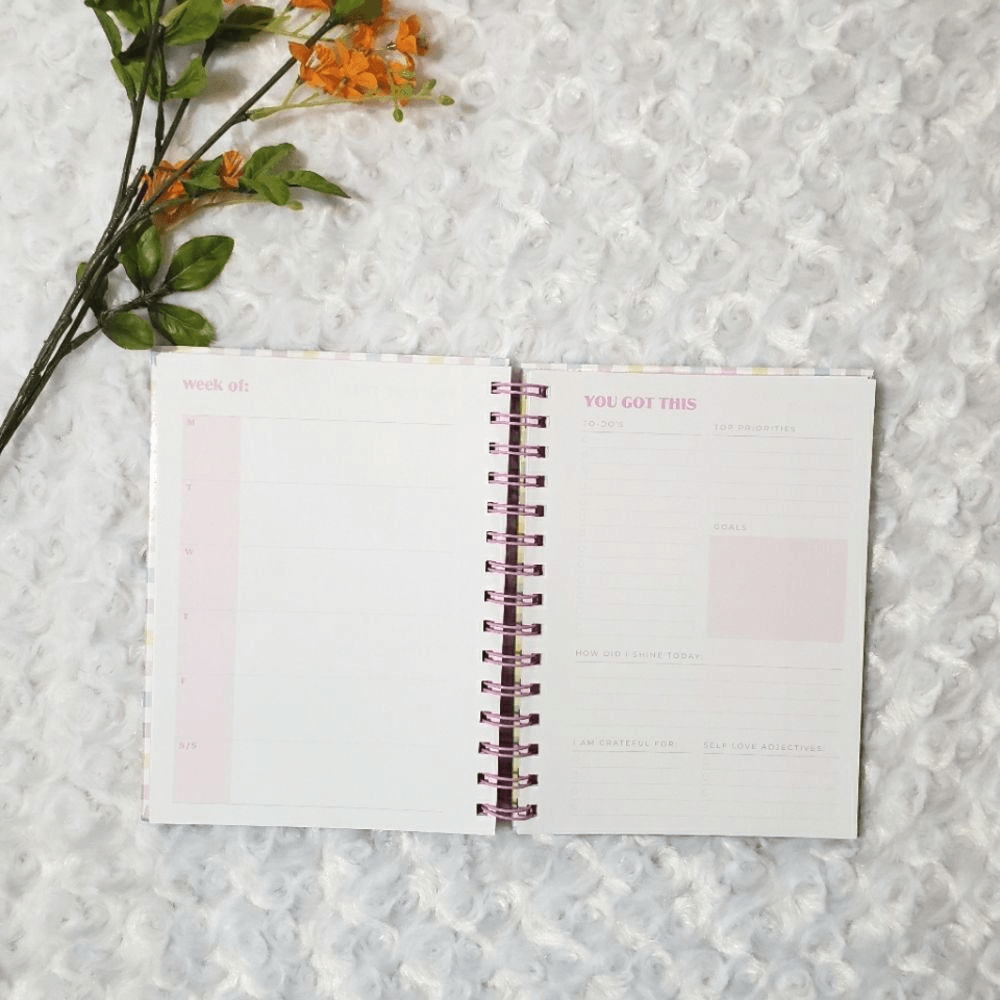 Stoney Clover Lane x Target plaid planner