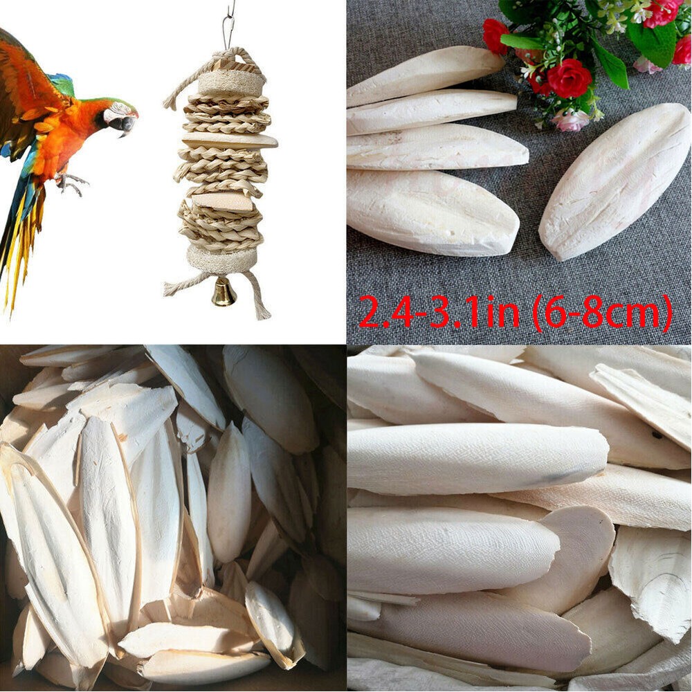 10/20Pc 2.4-3.1" Cuttlebone for Birds Parrot Chewing Cuttle Bone For Sharp Beaks