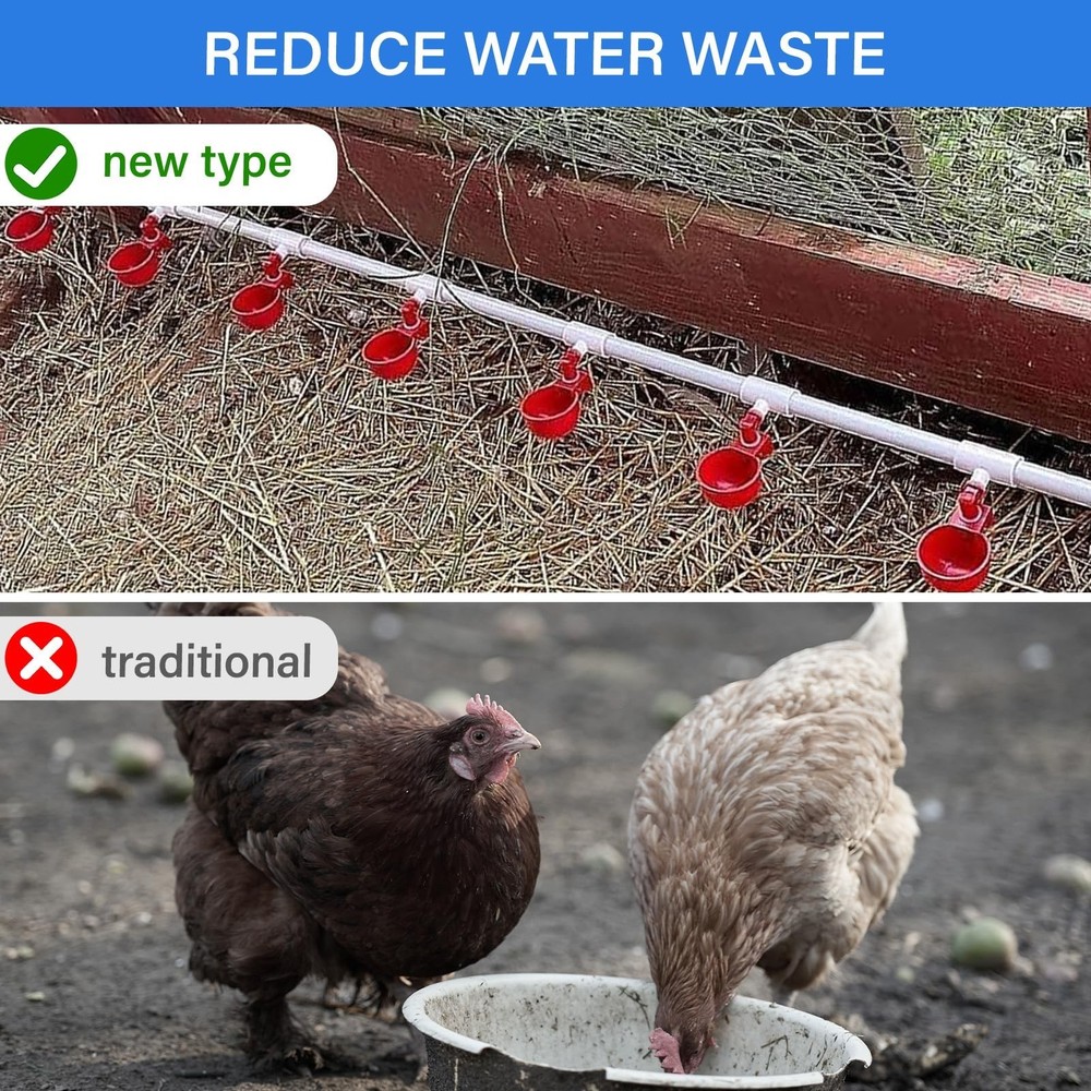 Complete Set Pipeline Automatic Chicken Waterer System with PVC Pipeline and ...