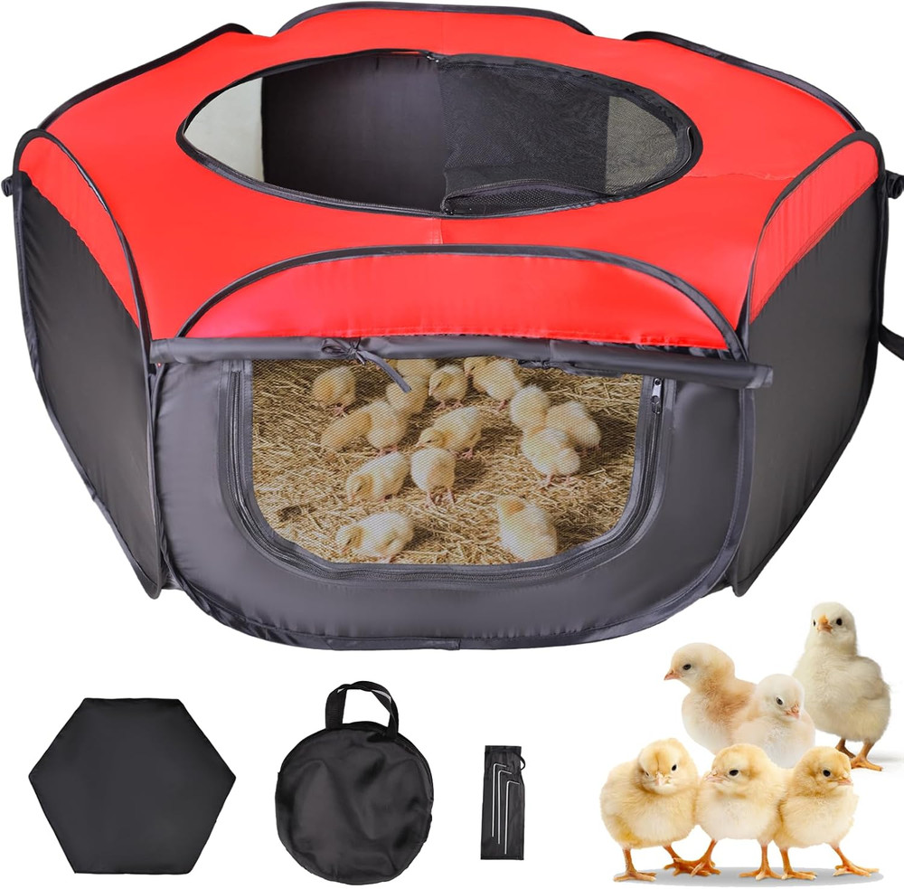 Chick Brooder Box Kit Up to 15 Chick Duck Quail Red Brooding Pen - US