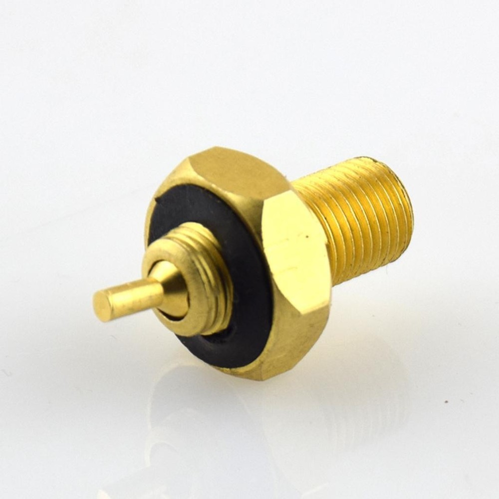 Internal Brass Tire Stem Adapter