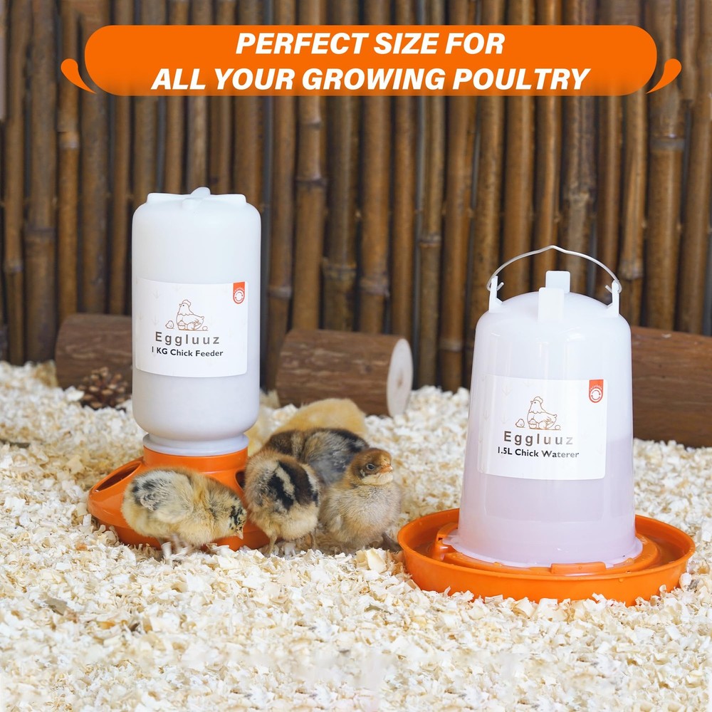 Chick Feeder and Waterer Kit Automatic Chicken Feeder and Waterer Set, 1L Chick