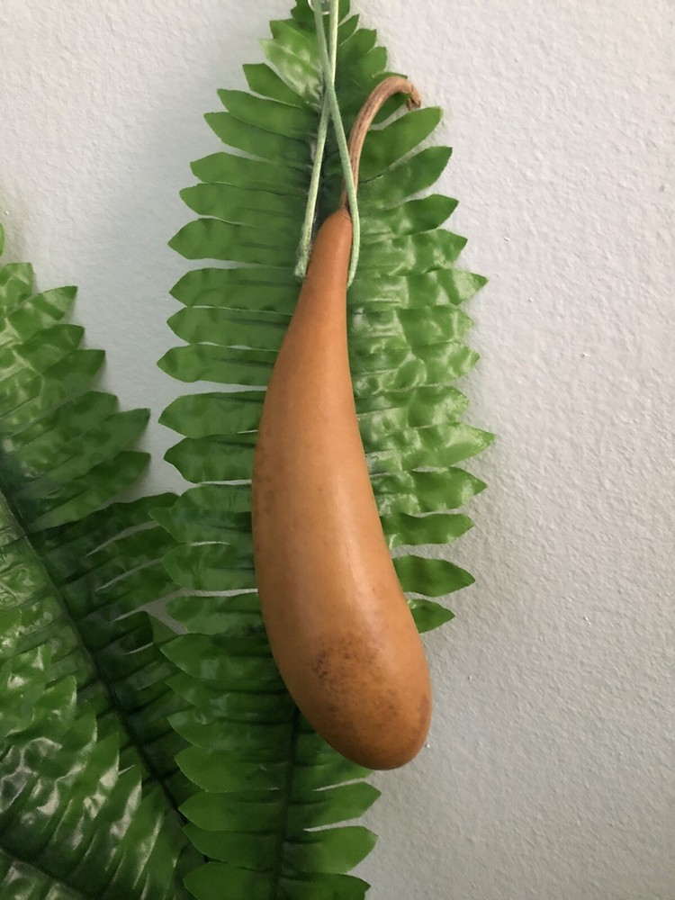 Fresh Pineapple Ornament Gourd Garden Collection