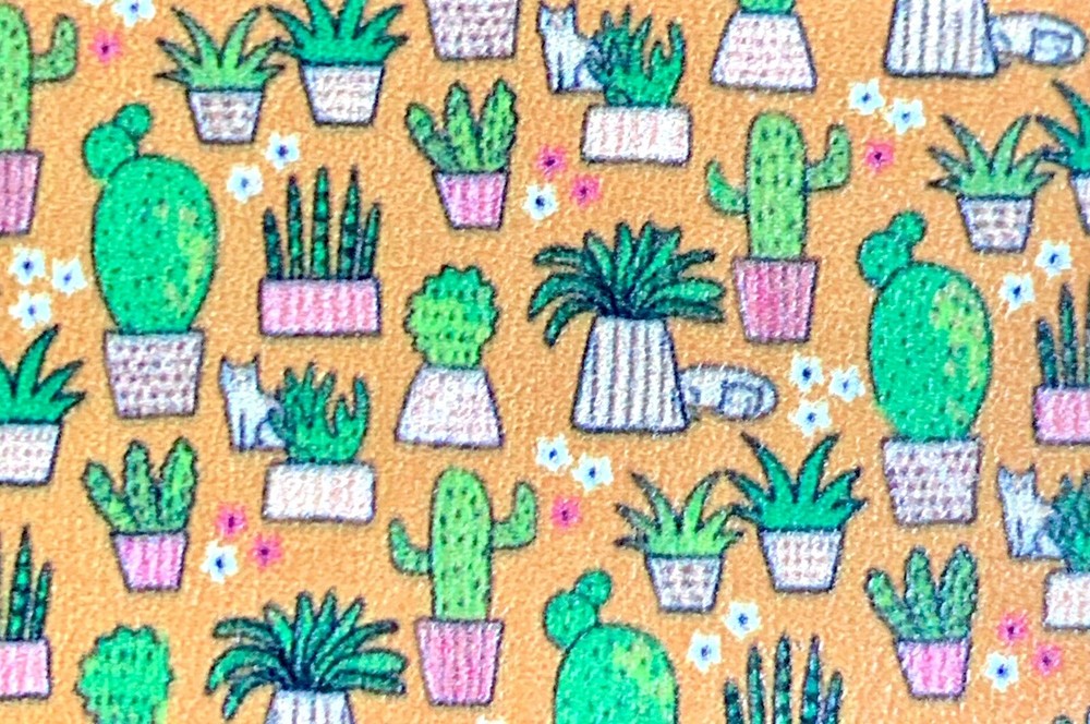 Potted Cactus Cacti Rectangular 2 Compartment Purse Travel Vitamin Pill Box New