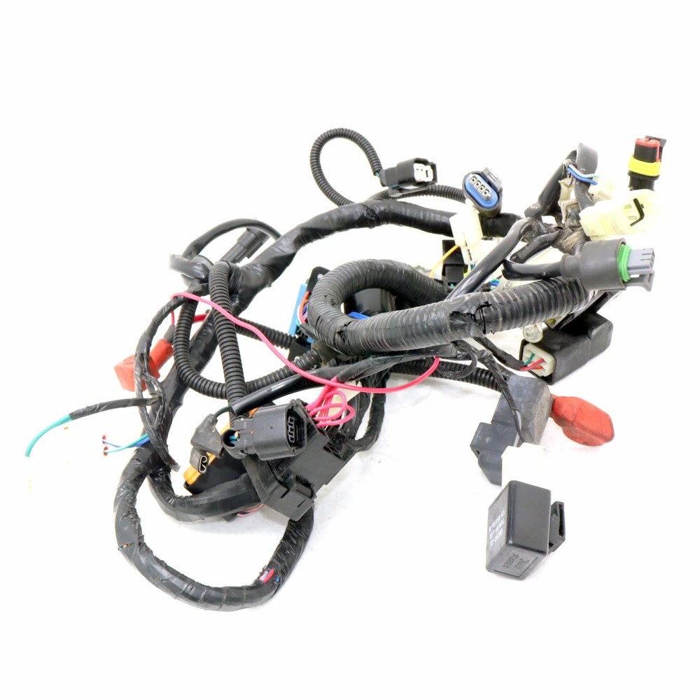 2023 MUTT FSR125 Wiring Loom / Harness