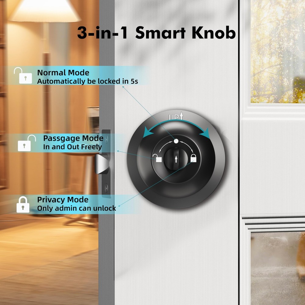 EUERTE Smart Door Knob with Lock,Keyless Entry Lock for Front Black