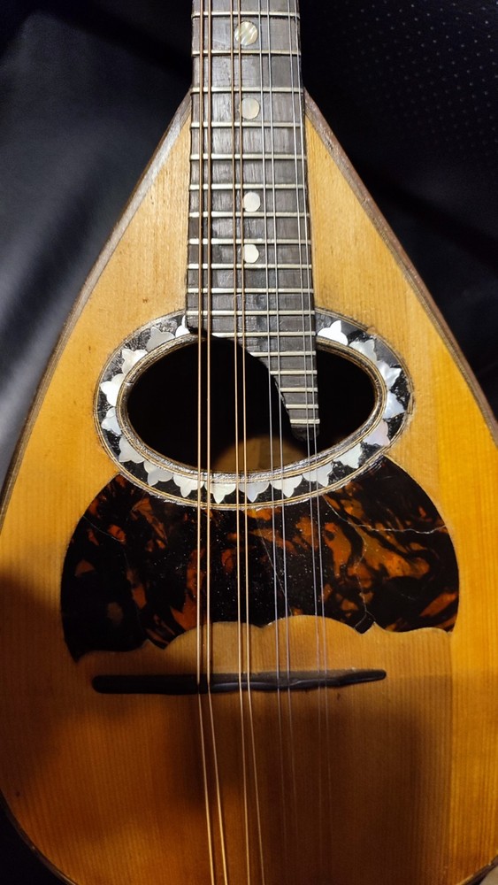 1904 Luigi Embergher Mandolin