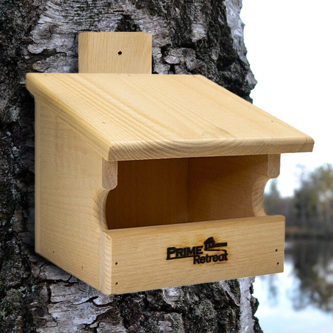 Pine Open Nesting Box 10"W x 10"D x 9"H