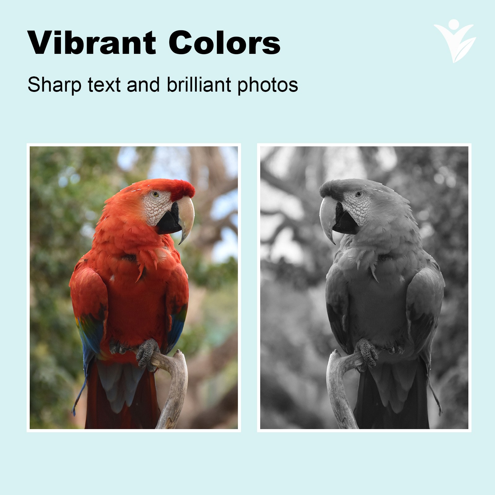 702XL T702XL Ink Cartridges for Epson Workforce Pro WF-3725 WF-3730 WF-3720 4PK