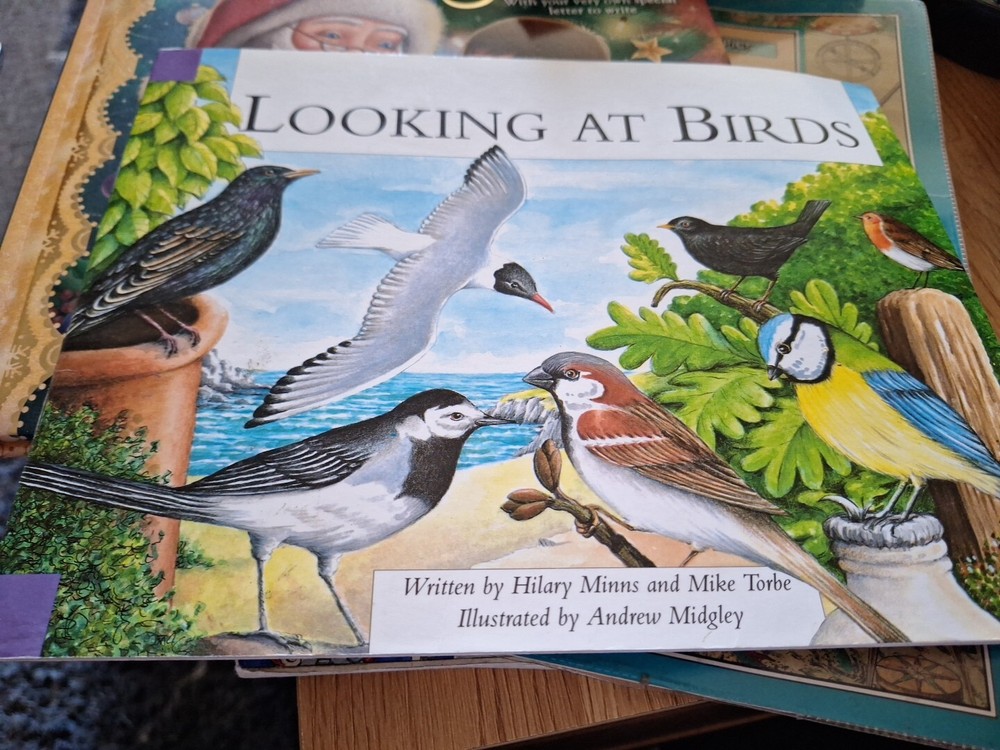 looking at Birds (Collins Pathways)-