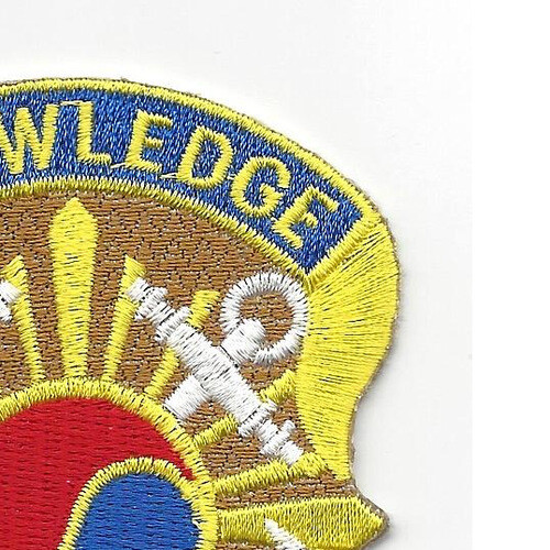 163rd Military Intelligence Battalion Patch