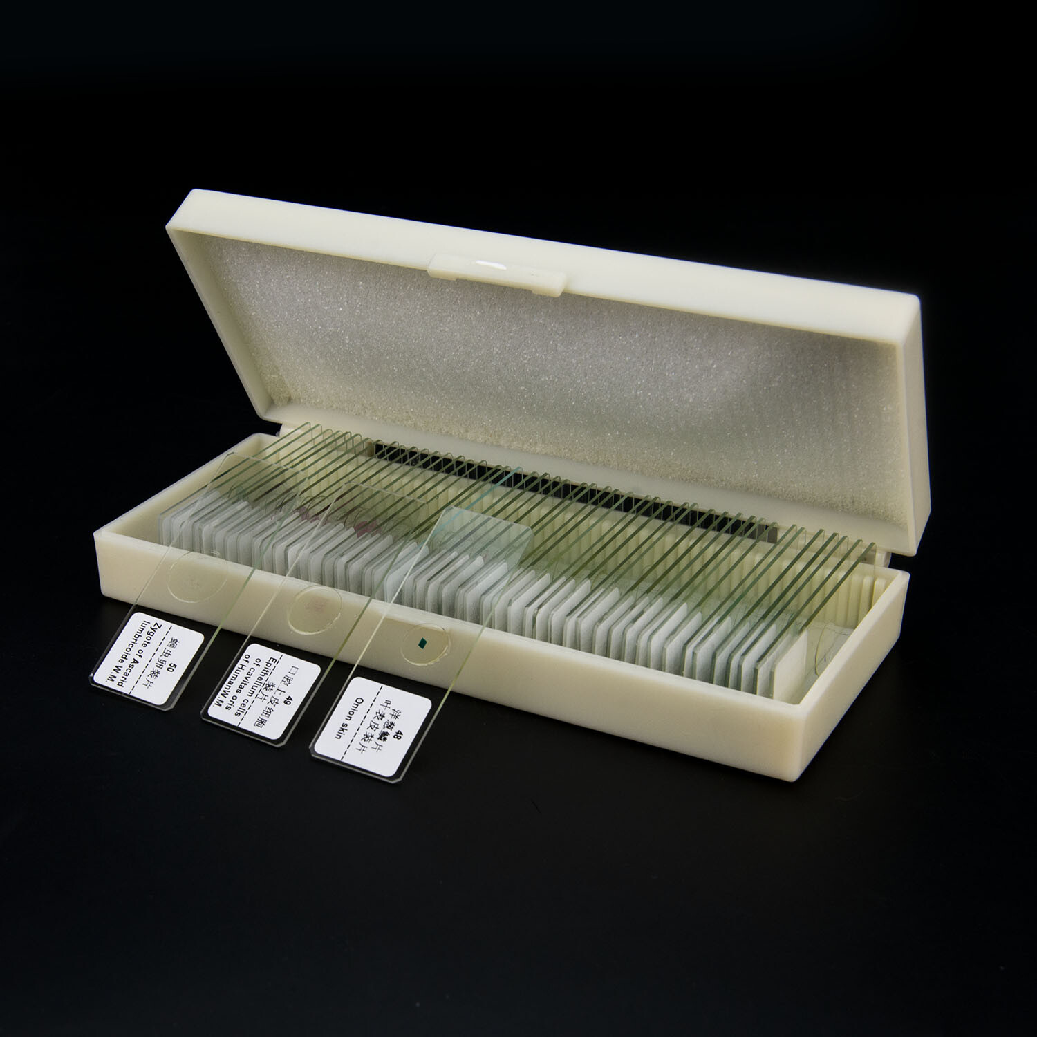 50pcs Glass Prepared Microscope Slides Biological Microscope Specimen Set